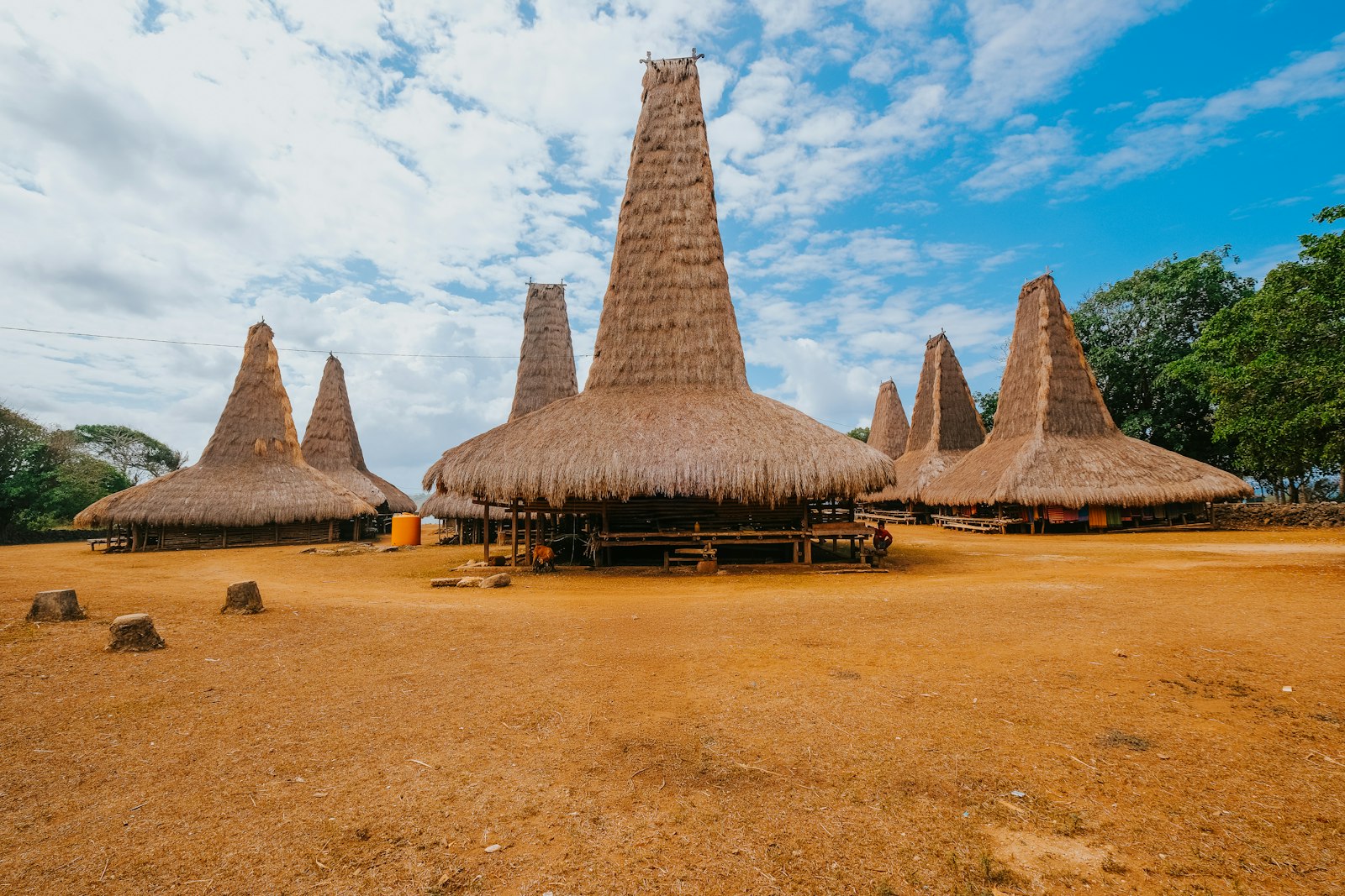 Traditional thatched roof houses in a village
