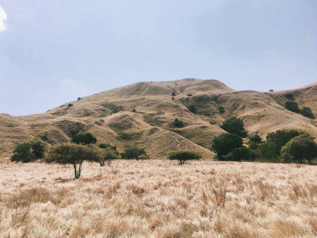 Sumba Beach Wedding: Settings, Tides & Reality