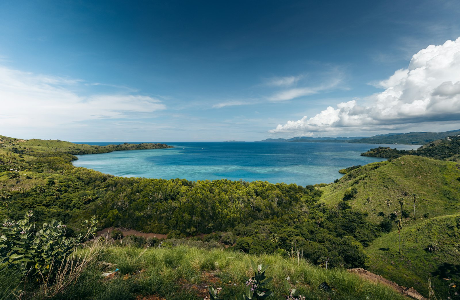 A scenic view of a body of water from a hill